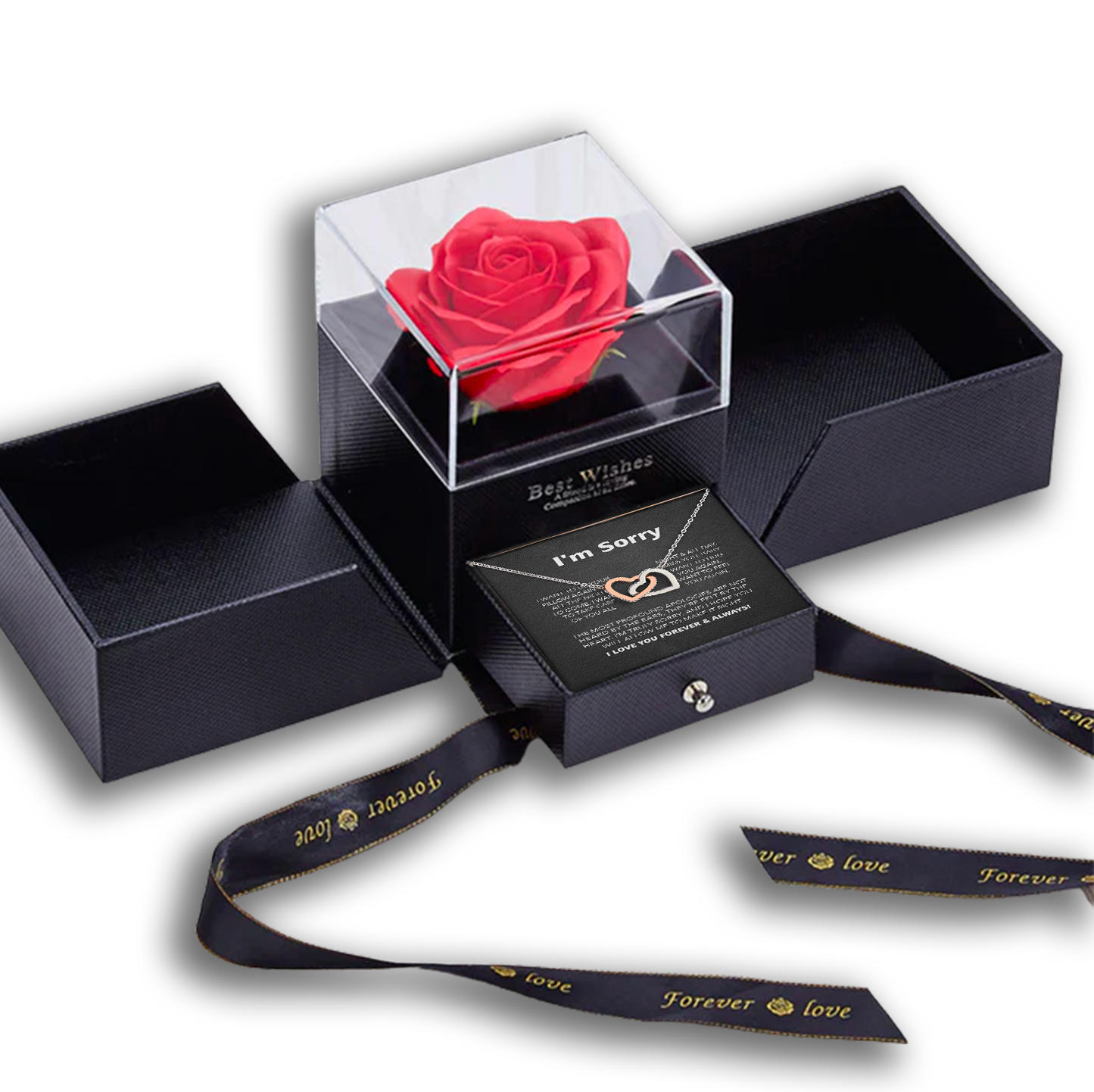 Wolf Box - I'm Sorry...